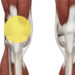 Fisioterapia Trieste Ginocchio Femoro Rotuleo